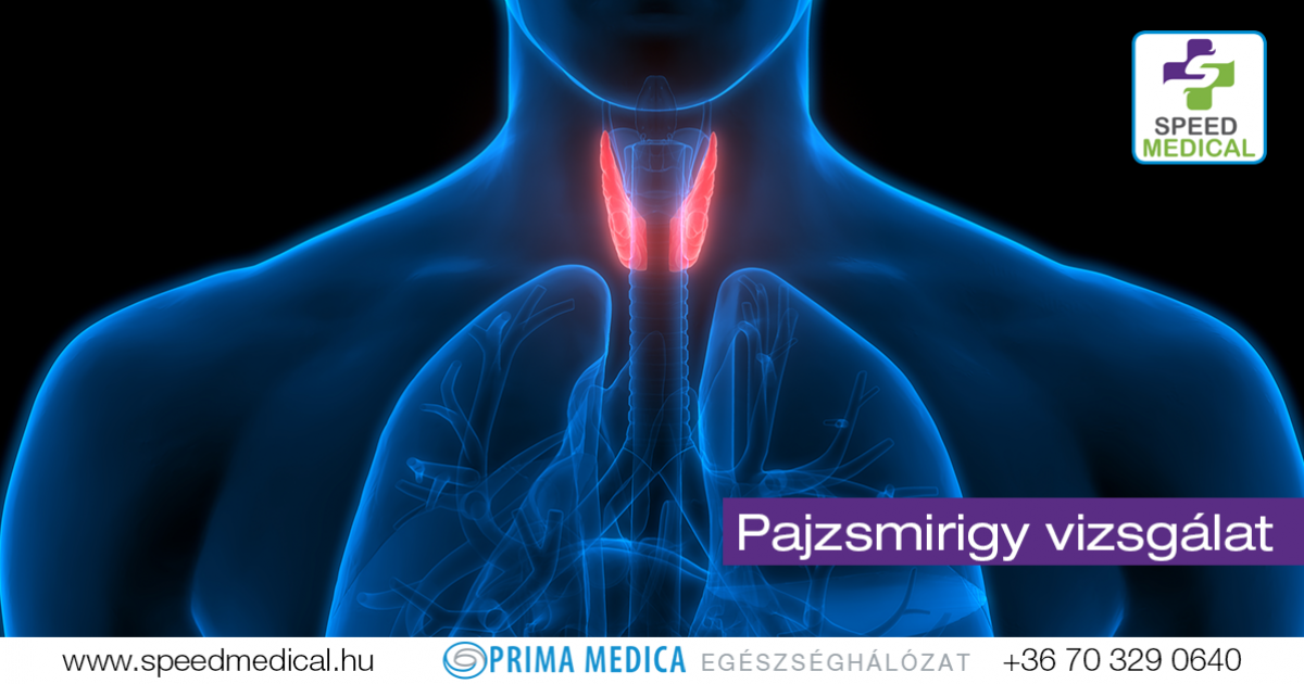 pajzsmirigy inzulinrezisztencia vizsgálat