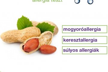 Mogyoróallergia: súlyos? kereszt? - tudd meg egy vérvétellel!