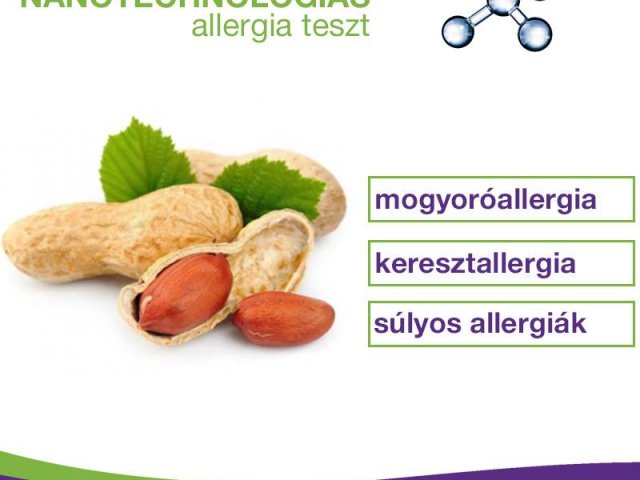 Mogyoróallergia: súlyos? kereszt? - tudd meg egy vérvétellel!